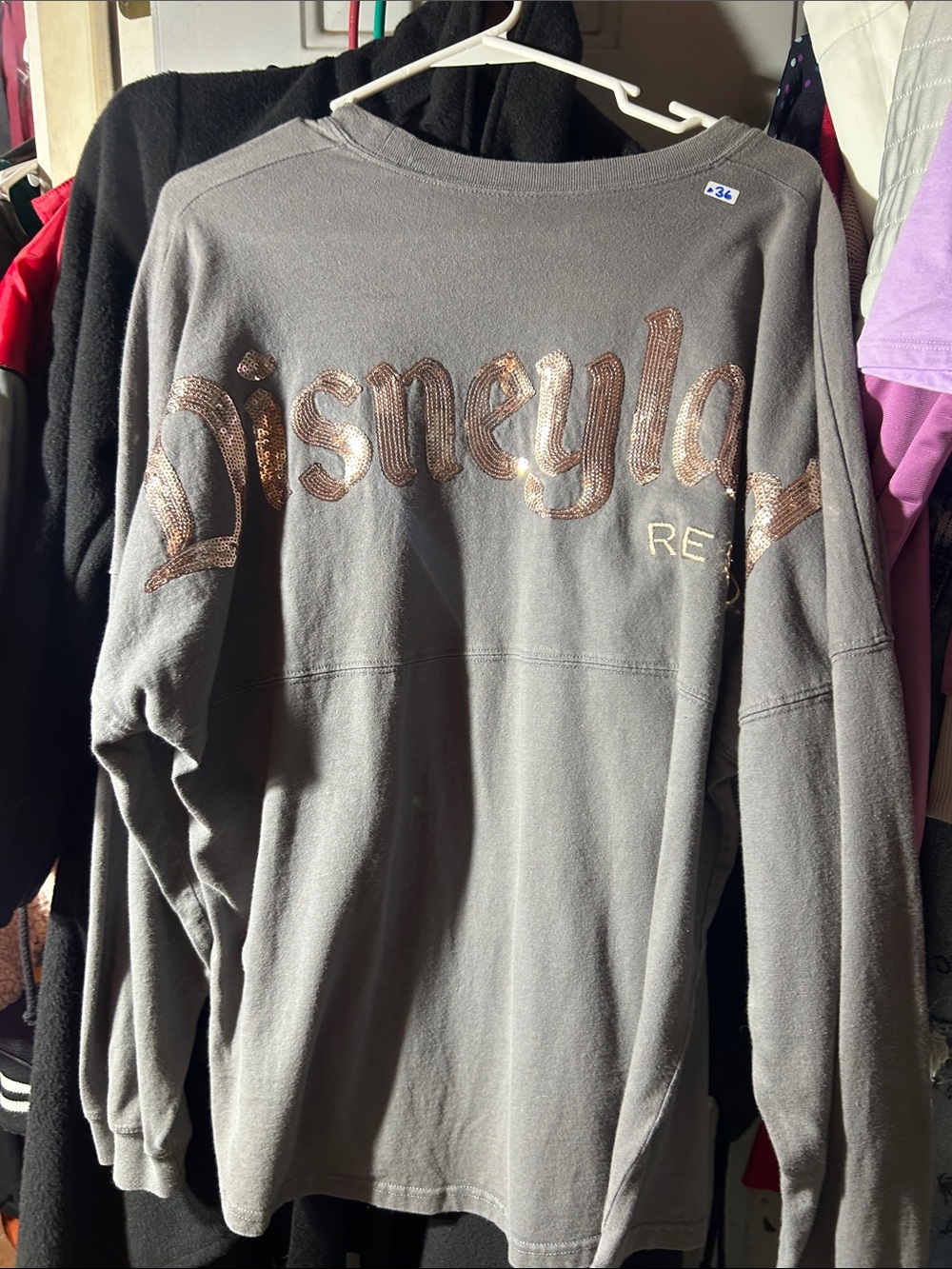 Disney Gray Crewneck Sweatshirt with Copper Sequin Logo